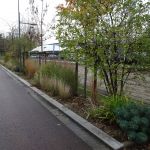 entretien espaces verts501