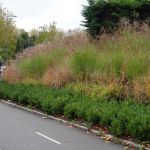 entretien espaces verts503