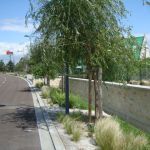 entretien espaces verts504