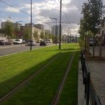 entretien espaces verts515