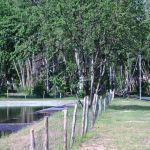 entretien espaces verts530