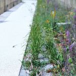 entretien espaces verts523