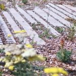 entretien espaces verts520