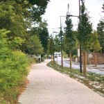 entretien espaces verts547