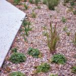entretien espaces verts544
