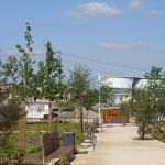 entretien espaces verts562