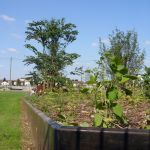 entretien espaces verts563