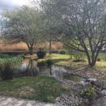 entretien espaces verts575