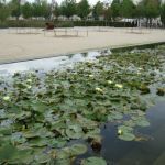 entretien espaces verts573