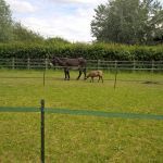 entretien espaces verts575