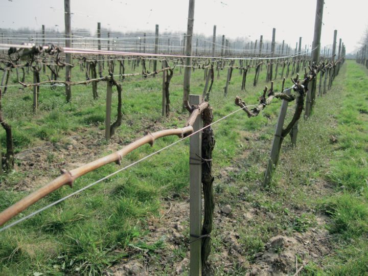 entretien espaces verts139