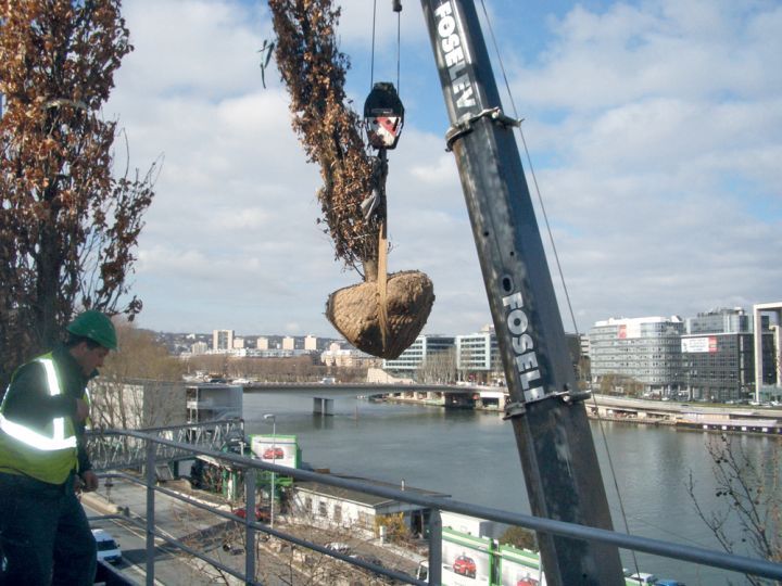 entretien espaces verts143